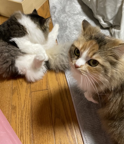 59BD33B3-093D-47B7-B212-9E83B84DC35B