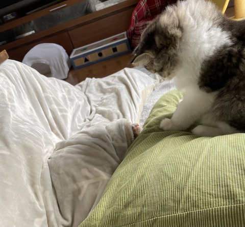 AD293112-85CC-4CE4-81D0-87EA4B72FE28