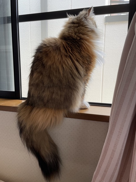 32DCD975-91E7-4D68-AEC9-ACC37A94BB9A