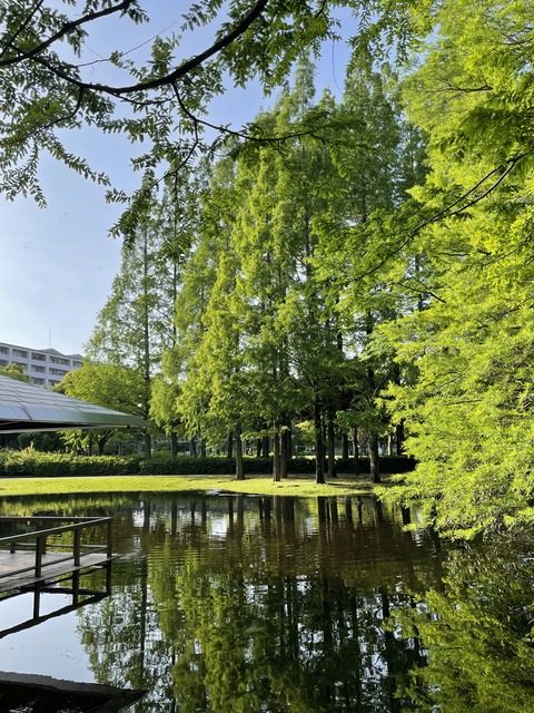 A74BF36A-8E09-4A97-AA5A-141922A0B023