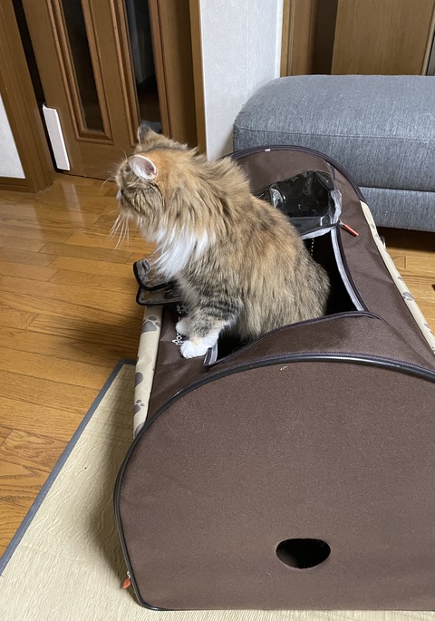 45F075CF-A9DF-4CF7-A963-4FFFAB89775E