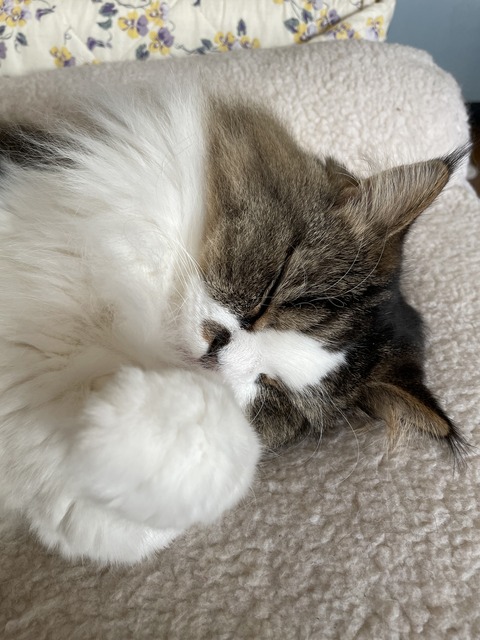 E8E5C053-1056-495F-BFCA-DF878477E4F9