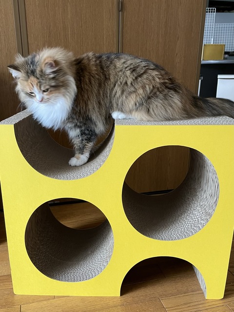 E7828C05-5567-469B-8032-3A237588E51F