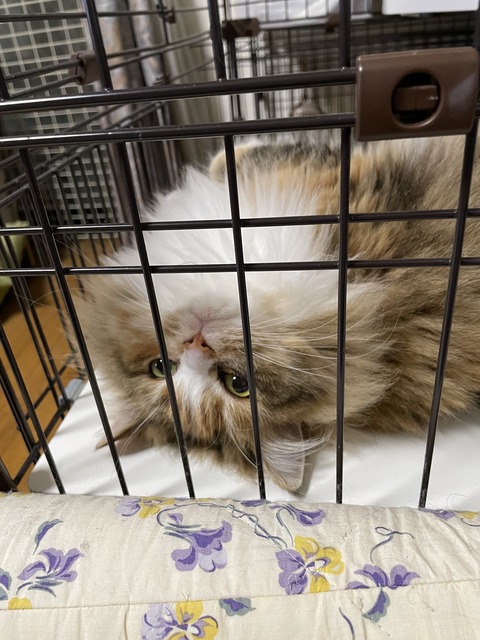 41FEC1FD-3A02-4235-BDAB-37853C6C5608