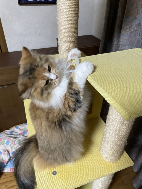 88FF2C44-B924-447A-96AB-760CEDA394F8