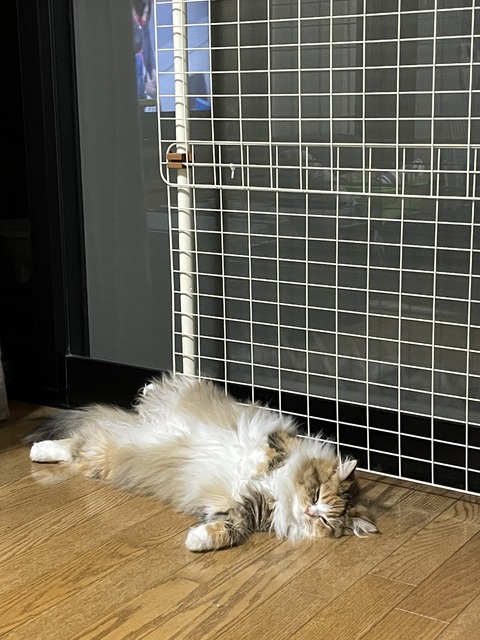 FF81E2B9-AFA6-43A1-AE8B-8A0786454832