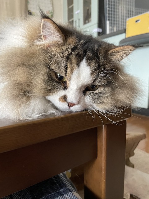 666B0A28-775A-4FEB-A396-C126053E2B56