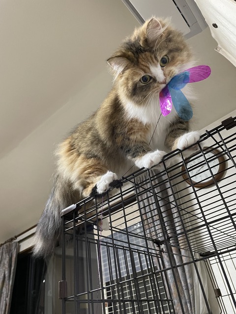 44F12840-45EB-4DE4-A7CE-BF6022D35EA5