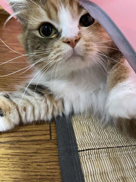 14C8CD76-7A62-406E-B9C4-9772712015BF