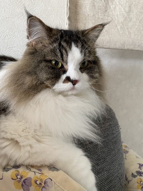 4C29B694-495F-4114-9FB7-6D43CDEAB09B