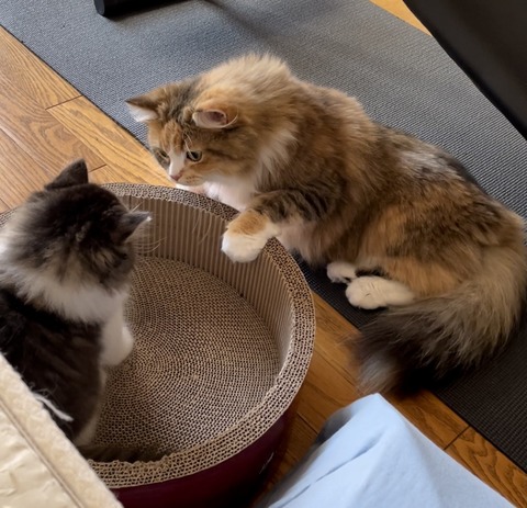 6DFF70D8-118B-4AB0-A7C1-2E6A013BD2E4