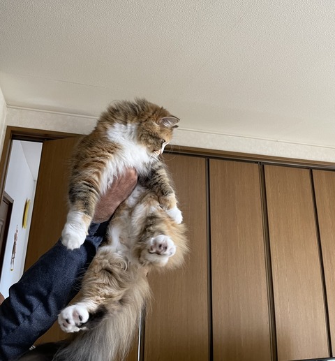 EAF4C0E1-6E41-4918-BEFA-9745461A1033