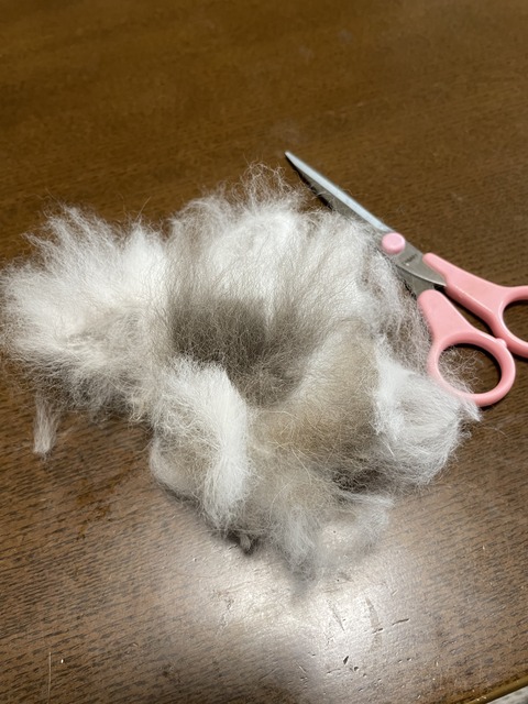 562D7753-F71B-48A6-8278-81089D823B01