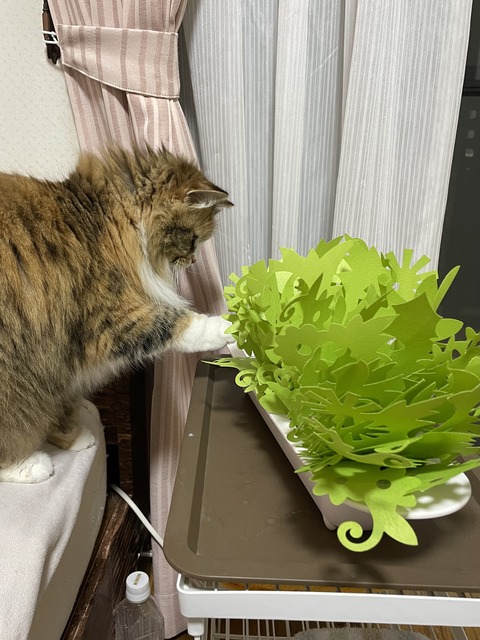 26A5DB14-5F84-462C-B8F7-2ACCB8979FB9