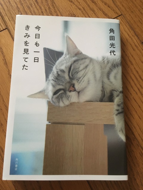 164AB3CA-E776-4016-ABF2-B2B25DCAB61B