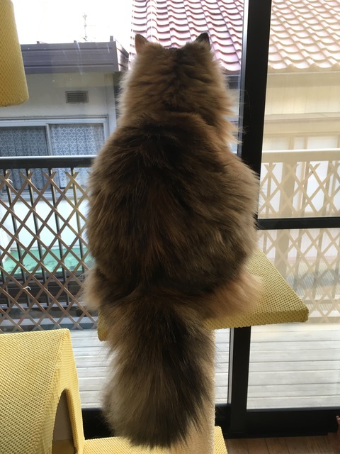 8E2B0073-CF1F-4B4E-9D6B-F6DCCCD1D81F