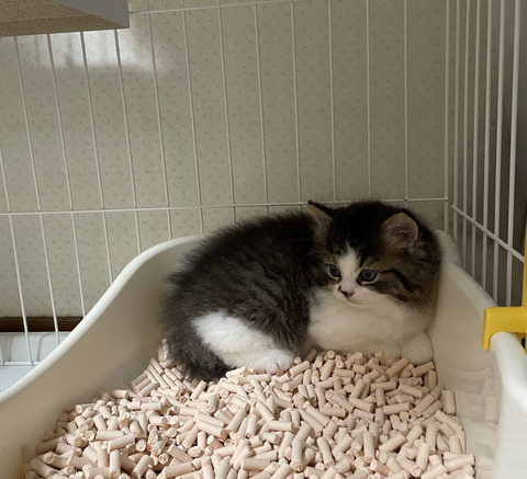 6D3EC2BA-A6BA-4119-BB29-D58461B940EC