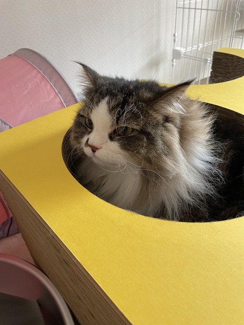 CD13C999-AFDB-41D5-88E9-8024EB63F282