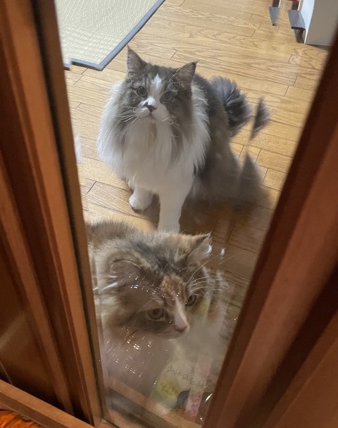 A2686B46-EFB6-41B5-AB12-B21D28EC8323