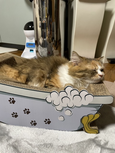 62A79FBA-3FF3-4AF8-BC6A-080BBFB863CB