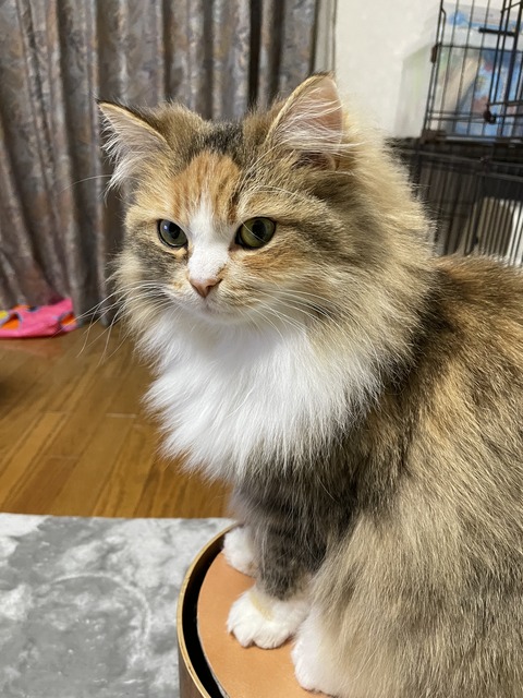 DFFC8CEE-2DA5-429A-8C4F-FD656F546693