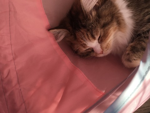 7F8D3FD4-DF65-4F48-A8C5-A51EDD4330F5