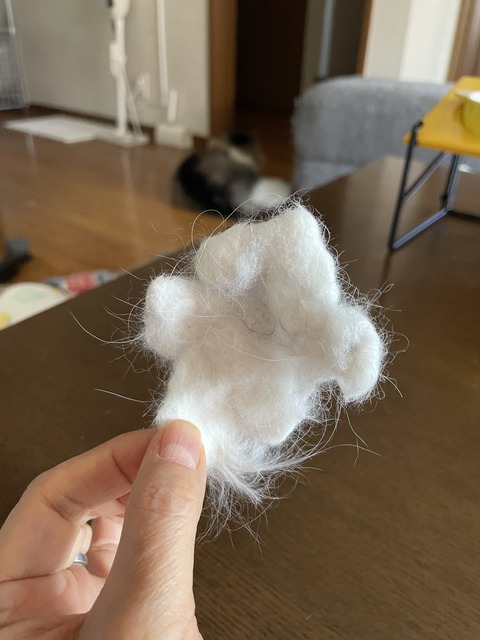 3F2C6F35-6434-466D-88A8-331CE372EC52