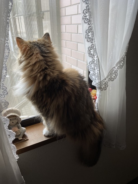 50C976AD-DD38-4310-8B43-E9E1334F00AE