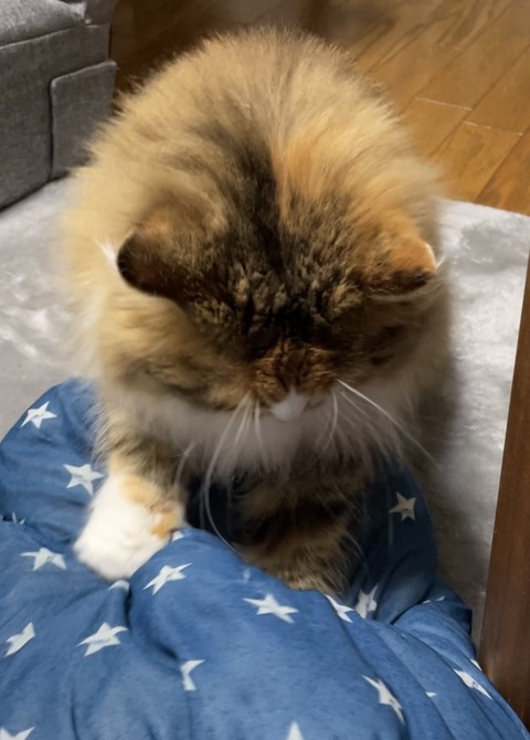 D2408EF8-0073-41B2-9264-19E871475CA4