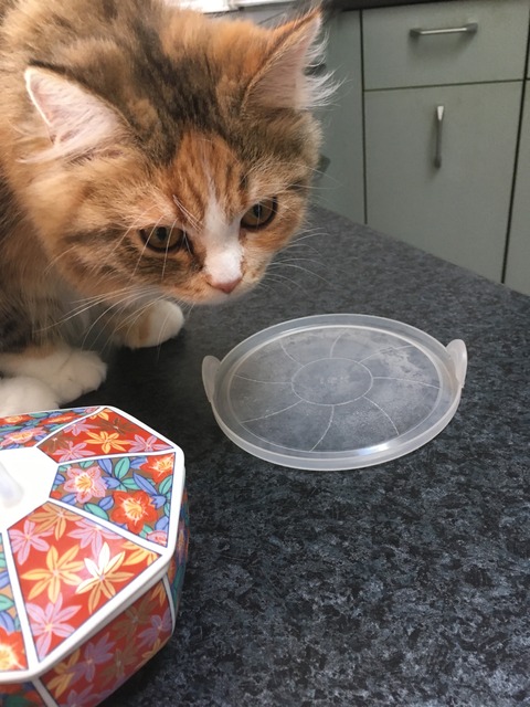 4066C1EA-860F-4C50-9D94-CD654D7260AA