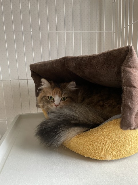 E224C710-14EC-4C6F-88CE-47613EB39C75