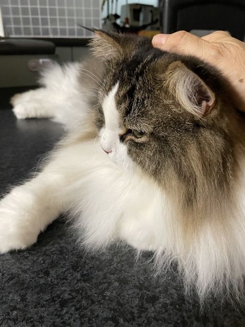 6351183E-296F-4BD8-BB76-9B7B8573D93F