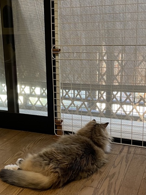 A9BFFD71-6995-43C8-B7ED-6E86DF349AD9