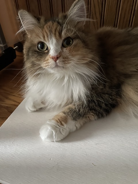 B2F819AC-2FB6-4CE0-8740-63E635CC1AF4