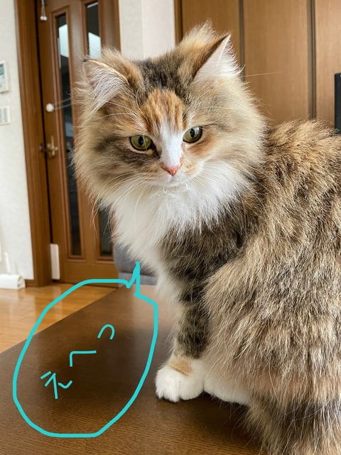 A844A0DA-C07E-4904-BF34-55C0A6C5E285