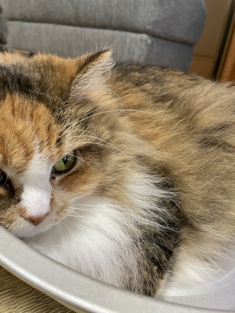 0504FB38-594C-44D5-8C6D-53A485722186