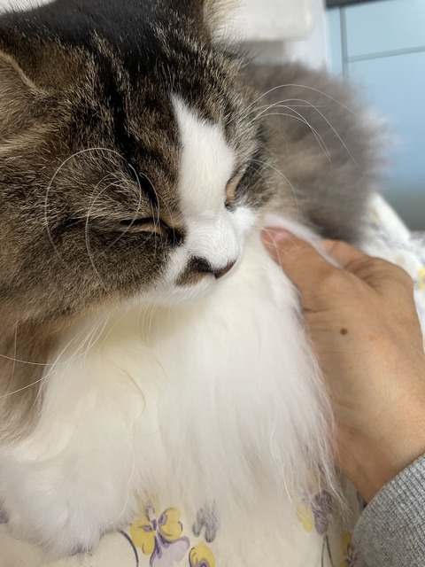 125F6ACB-0C77-4AE5-8E33-A694F17621DB