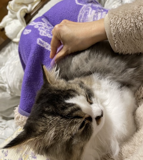 E516F8E3-3484-48E6-850D-A61CD7F48CC8