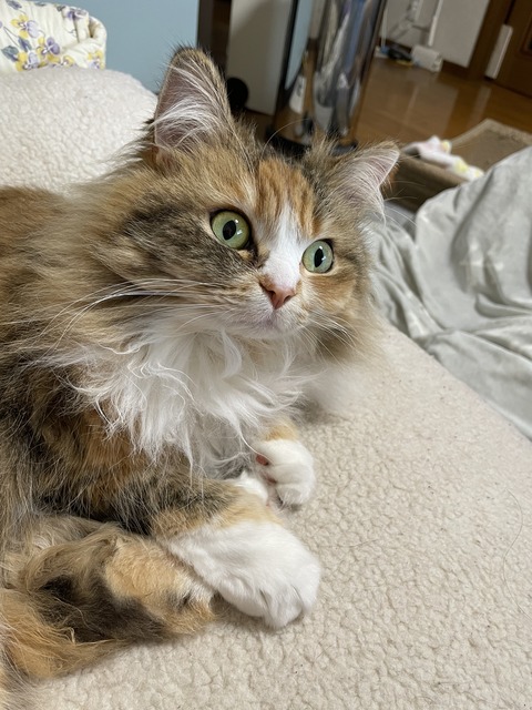 B7169947-57D4-4A49-B2A0-F7DEC488DC5A