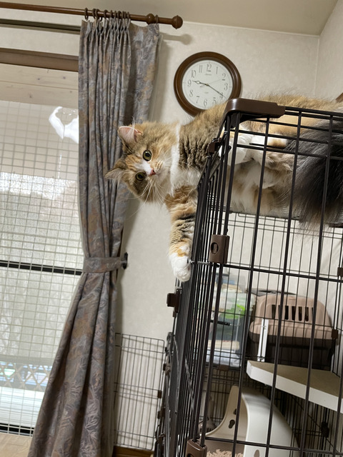 A8173550-614B-4BDC-8F7F-FC64CA381C83