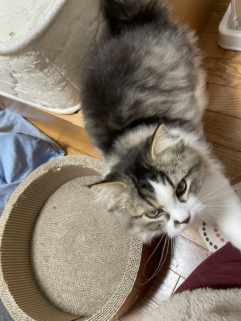 D2C67139-7EED-4D10-9003-58BBE9579663