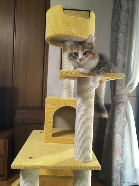 0BEB09A6-9325-405E-8869-2E21F60BD7DD