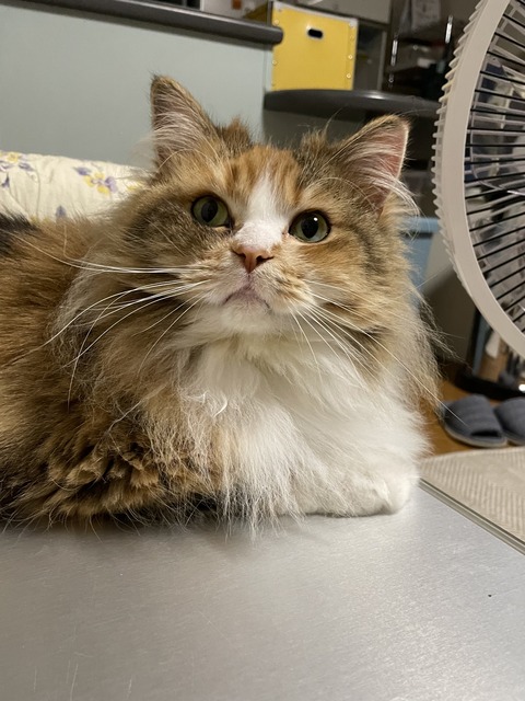 E13E91D2-E33D-4B66-B573-9F3555B45288