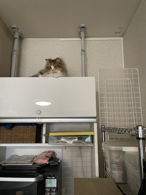 8431436F-BA42-4257-96FF-CE2A18D070EF