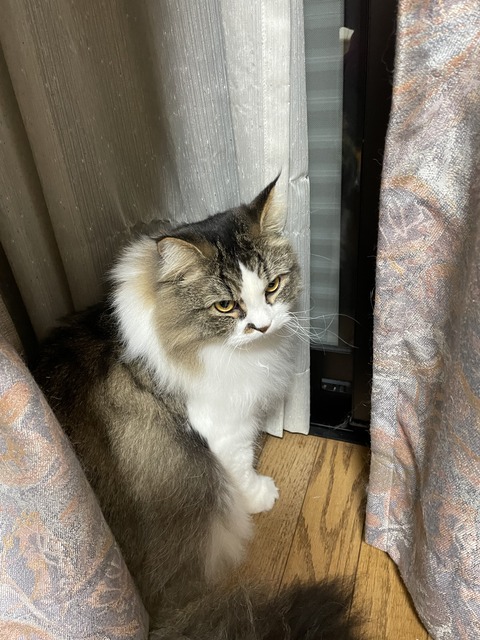 4043AAA9-9B3D-446E-87A9-C62769A069BE