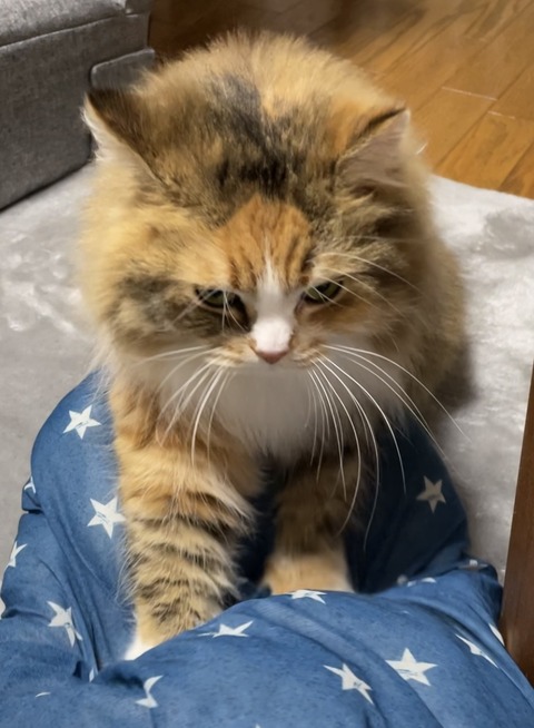 BAC80041-6F9F-4DE3-B4F8-8D34C182A747