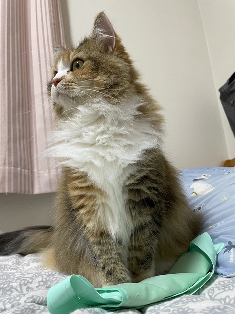 ED7B94CD-72F6-49FC-AD7E-8225BFEDA1A0