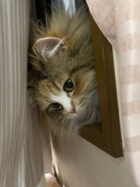 E030C5C6-BC0D-4371-91A4-4875AEC184D8