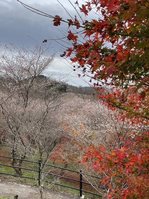 3369BAEE-2544-4436-BF95-8E789E01DF58