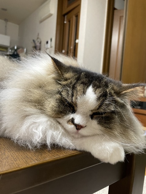 330A0C77-1E8D-4F46-952E-70391C066273